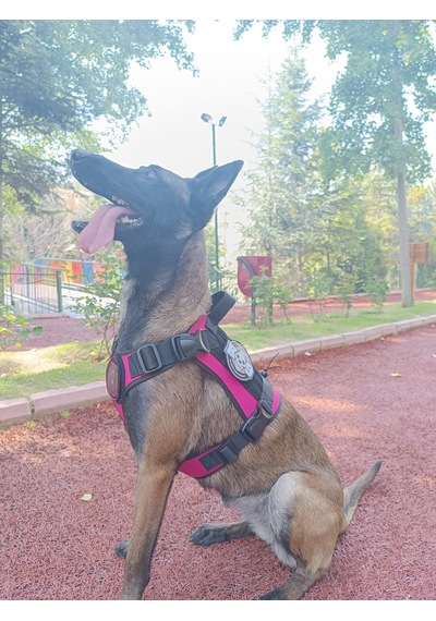 Tactical Göğüs Tasması Taktik Tasma Pembe