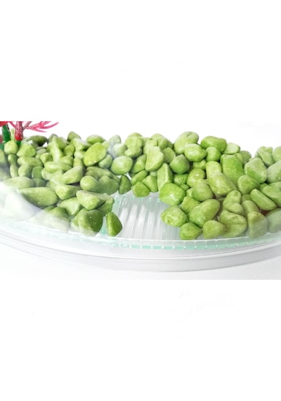 Bölmeli Izgaralı Betta Beta Kabı Tankı Akvaryum 1800 Ml - 19x8x13 Cm Yeşil