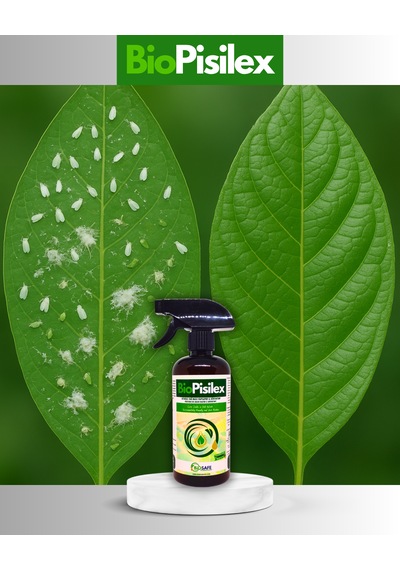 BioPisilex 500 ml – Ev ve Süs Bitkilerinde Görülen Yaprak Biti, Beyaz Sinek ve Unlu Bite Yönelik Doğal Bakım Ürünü