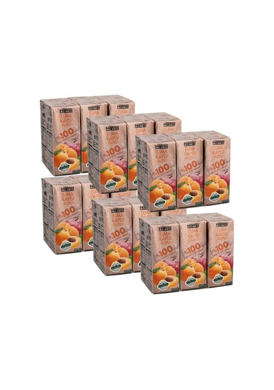 Elma Kayısı Suyu %100 Meyve Suyu Oranı Şeker Ilavesiz 36 Adet X 200 Ml
