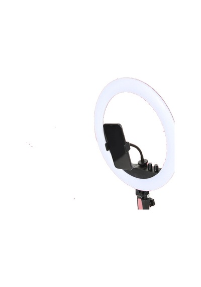 Deyatech 14" 24 W Pro Ring Light + 2 M Stand