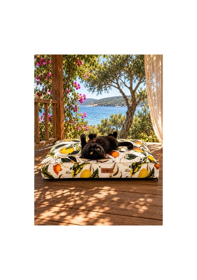 Kedi Ve Köpek Yer Minderi Ve Matı Üst Kalite Yıkanabilir Kılıflı Fermuarlı %100 Boncuk Elyaf Kaydırmaz Taban Kedi Ve Köpek Yatağı Limon 1609352157 Kedi Ve Köpek Yer Minderi Ve Matı Üst Kalite Yıkanabilir Kılıflı Fermuarlı %100 Boncuk Elyaf Kaydırmaz Taban Kedi Ve Köpek Yatağı Limon 1609352157