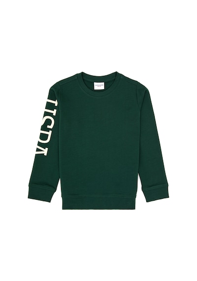 U.S. Polo Assn. Erkek Çocuk Koyu Yeşil Basic Bisiklet Yaka Sweatshirt 50313831-VR079 U.S. Polo Assn. Erkek Çocuk Koyu Yeşil Basic Bisiklet Yaka Sweatshirt 50313831-VR079