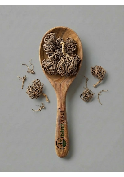 İxirciyusuf Meryem Ana Otu Meryem Ana Eli Diriliş Bitkisi Rose Of Jericho Selaginella Lepidophylla Doğal 50 G