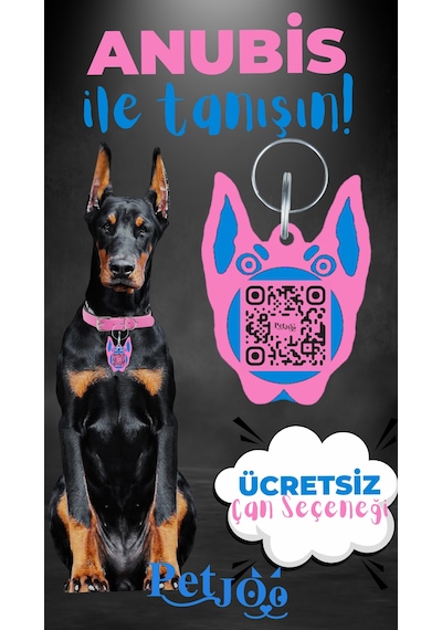 Petjoo 30.Anubis Mavi-Pembe Qr'lı Köpek Künyesi