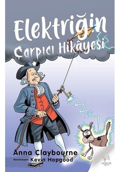 Elektriğin Çarpıcı Hikayesi - Anna Claybourne - Uçan At