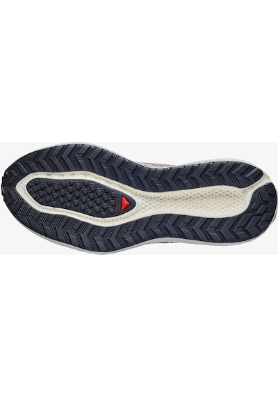 Salomon Aero Glide 4 Grvl Erkek Outdoor Koşu Ayakkabısı L47397100 Çok Renkli