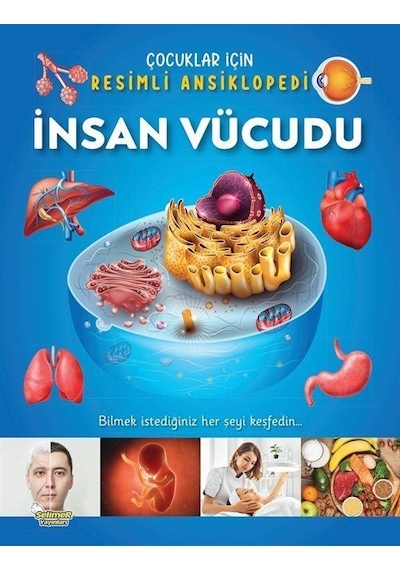 İnsan Vücudu / Çocuklar İçin Resimli Ansiklopedi / Kolektif