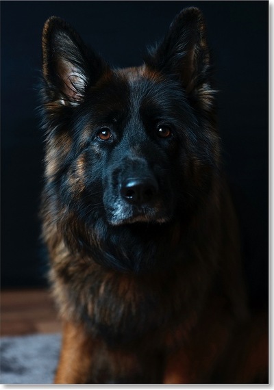 Cakasepetim Kahverengi Siyah K 9 Ahşap Mdf Tablo