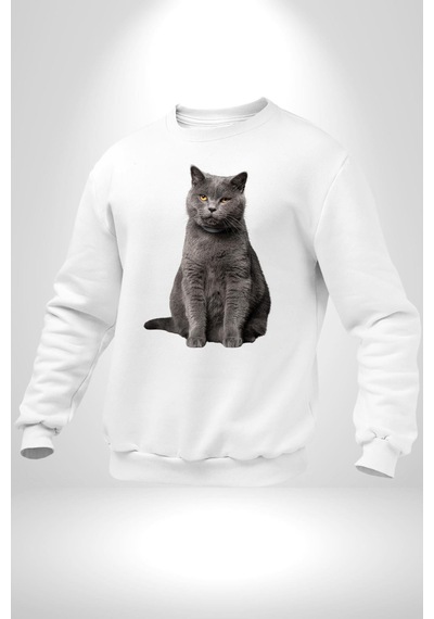 British Shorthair Kedi Unisex Beyaz Sweatshirt Beyaz
