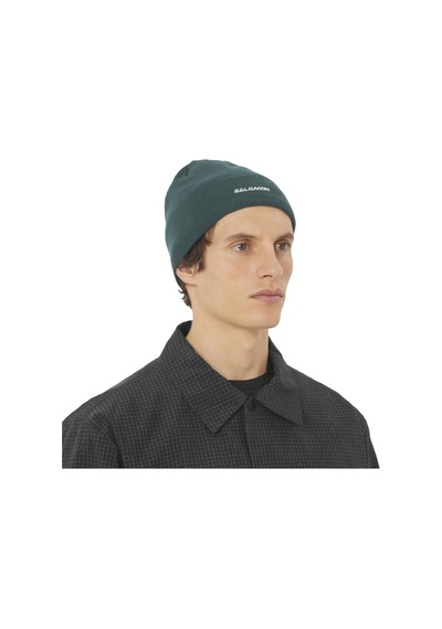 Salomon Salomon Unisex Yeşil Bere 22889