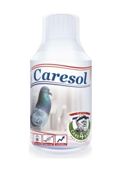 Caresol Enerji 500 Ml