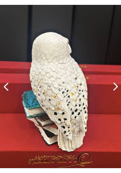 Harry Potter Baykuş Hedwig