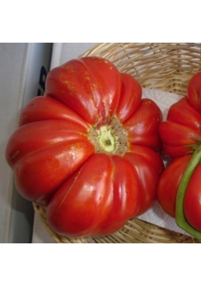 Tohumbaba Domates Tohumu Yayla Domatı Pakette 25 Adet Tohum