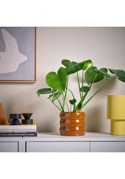 Ikea Hasselbukett Seramik Saksı Kahverengi/sarı 12 Cm İç Ve Dış Mekan