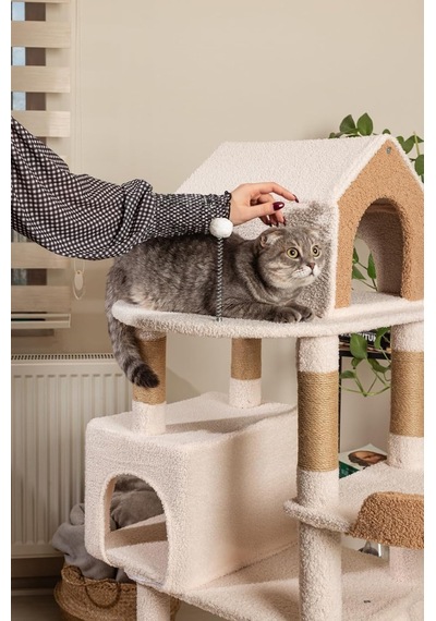 Luna Kedi Tırmalama Alanı
