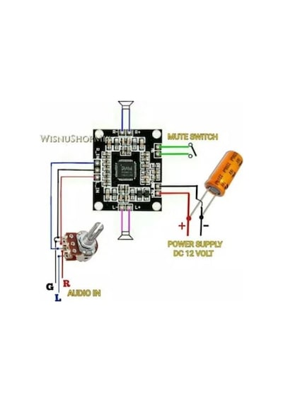 Pam8610 12V 2X15W Mini Amfi Modülü (Class-D)