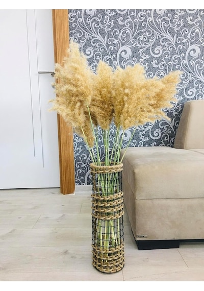 Ayrex 30cm Ayrex 30cm Genel