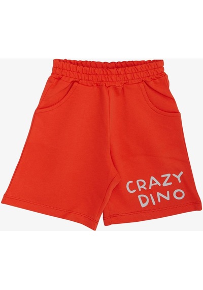 Breeze Erkek Çocuk Şortlu Takım Çılgın Dinozor Baskılı 1.5-5 Yaş, Açık Gri Melanj Breeze Erkek Çocuk Şortlu Takım Çılgın Dinozor Baskılı 1.5-5 Yaş, Açık Gri Melanj