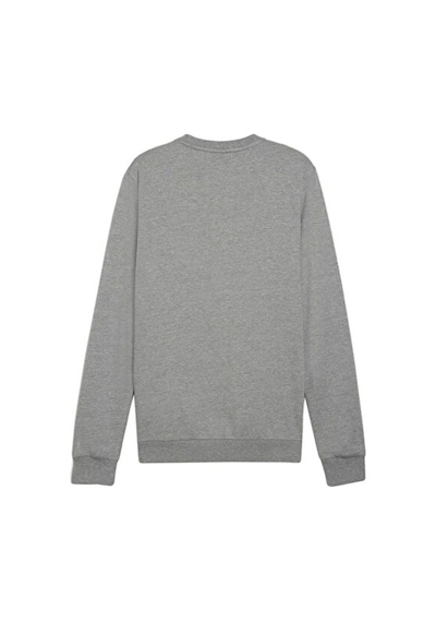 Puma Teamgoal Casuals Crew Neck Erkek Futbol Sweatshirts 65859233 Gri Gri