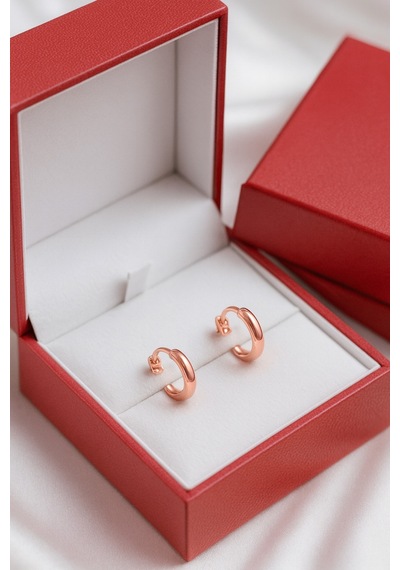 Çekirdekjewelry 925 Ayar Gümüş Düz Sade Halka Küpe Pembe