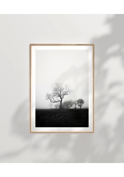 Çerçevesiz Poster Sessiz Bir Sabah