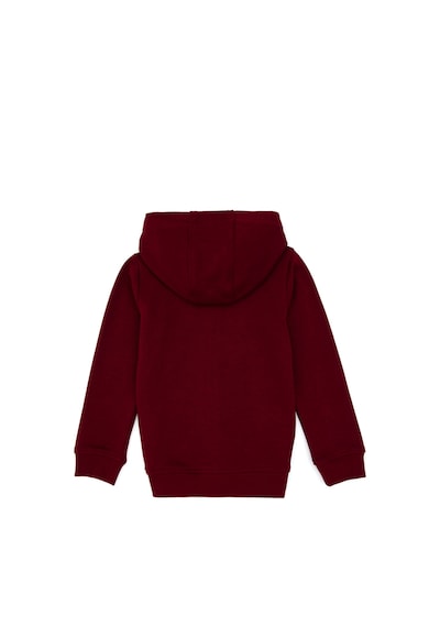 U.S. Polo Assn. Erkek Çocuk Bordo Basic Kapüşonlu Sweatshirt 50308439-VR014