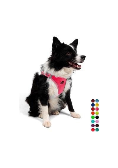 Tailpetz Air-mesh Küçük Ve Orta Irk Kedi Köpek Göğüs Tasması - Yumuşak, Nefes Alabilir, Dayanıklı Neon-pembe, Xlarge Sku: Zeusb097lsqy3w Açık Bej - Bej Tailpetz Air-mesh Küçük Ve Orta Irk Kedi Köpek Göğüs Tasması - Yumuşak, Nefes Alabilir, Dayanıklı Neon-pembe, Xlarge Sku: Zeusb097lsqy3w Açık Bej - Bej