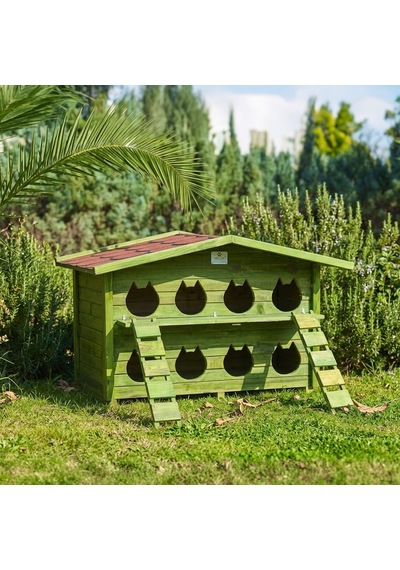 8 Yuvalı Kedi Evi Pati Emlak