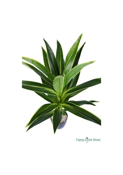 Yapay Çiçek Sitesi Plastik Saksıda Dracena Ağacı Limon Yeşili 105 Cm Yeşil
