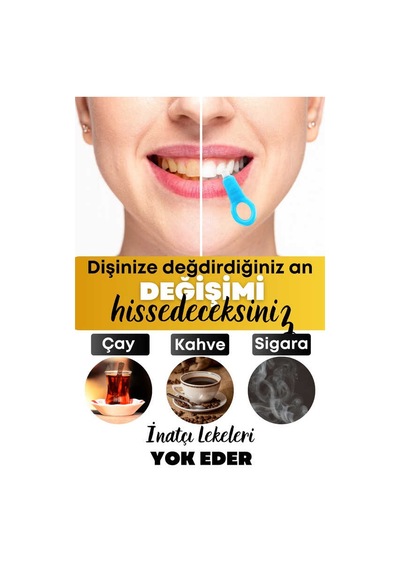 Diş Siisi 1 Aparatlı + 5 Yedek Süngerli Set 1 Paket