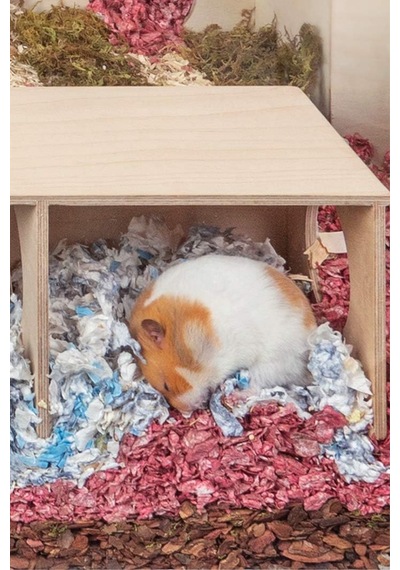 Suriye Hamsterı İçin Büyük Boy Gizli Gözlem Evi - 2 Odalı Tünel Ve Saklanma Oyuncağı