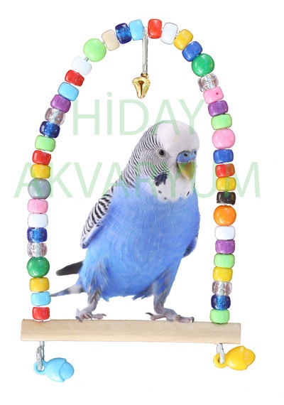 Hiday Kuş Salıncağı