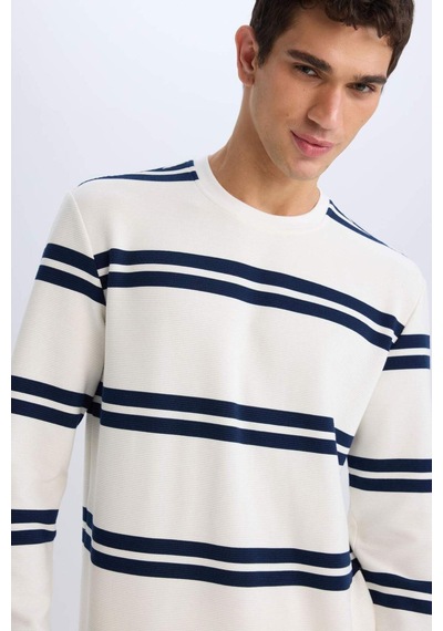 DeFacto Regular Fit Bisiklet Yaka Dokulu Sweatshirt D7595AX25SPWT32