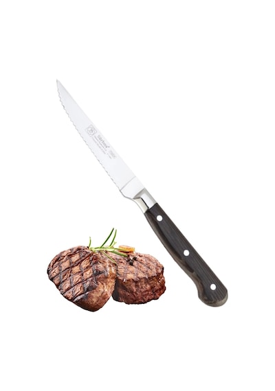 Sürbisa Ahşap Saplı Steak Bıçağı 61004-ym-lz 10.0 Cm Çok Renkli