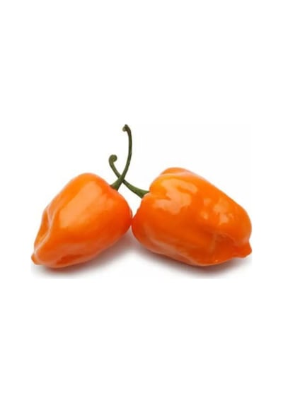 Nadir Ithal Çok Acı Habanero Biber Tohumu 5 Tohum Biber Tohumu