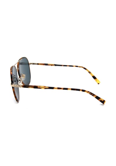 Salvatore Ferragamo Sf 181s C281 Erkek Güneş Gözlü Kahverengi