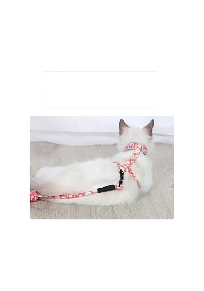 Kedi Gezdirme Göğüs Tasması Çok Renkli
