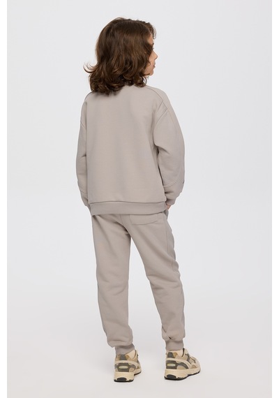Panço Erkek Çocuk Baskılı Taş Sweatshirt Gri