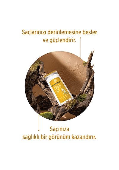 Selesta Life Isırgan Otu Ve Ginseng Özlü Besleyici & Koruyucu Ve Dökülen Saçlar İçin Bakım Kremi 250 Ml