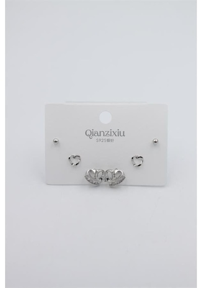 Çoklu Set Küpe - Gümüş Renkli 96545916
