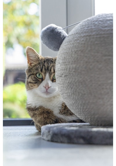 Karlıe Kedi Tırmalama Küresi Bolly Gri 30.5cm