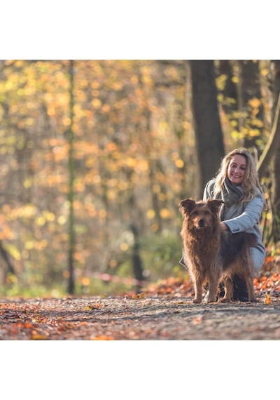 Premium Köpek Gezdirme Kayışı L - Xl, Siyah, 1 M - 25 Mm