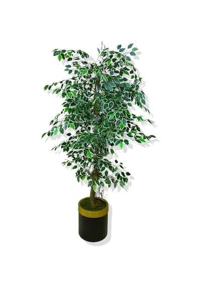 Cihan Çiçekçilik Ficus 160 Cm Yapay Ağaç 30x25 Gold Kemerli Saksı Beyaz- Yeşil