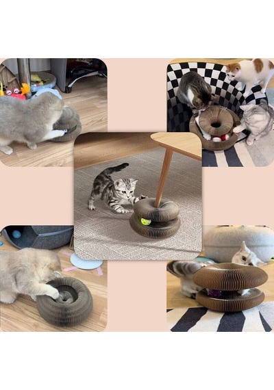 Kedi Tırmalama Oyuncağı İnteraktif Katlanabilir Catnipli Akordeon Tasarım, Toplu & Zeka G