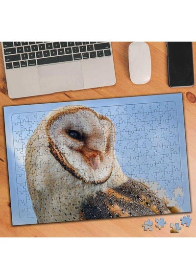 Çapraz Görünüm Baykuş 240 Parça Puzzle Yapboz-3303542