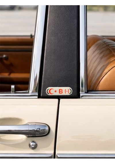 Kan Grubu Sticker Damla Etiketi /reçine Damla Dolgulu /b Negatif B Rh- 7x2 Cm 2 Adet Çok Renkli