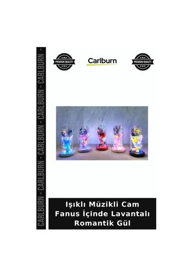 Özel Üretim Hediyelik Dekoratif Işıklı Müzikli Cam Fanus İçinde Lavantalı Romantik Gül