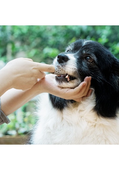 Köpek Parmak Diş Fırçası, Gıda Sınıfı Silikonlu Köpek Diş Fırçalama Seti, Kolayca Temizlenen Diş Kiri, Orta Ve Büyük Köpekler İçin Uygun, 2'li Paket, Bej+gri