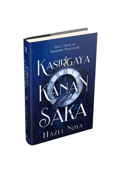 Kasırgaya Kanan Saka 2 Ciltli / Hazel Noya
